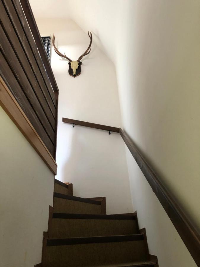 Haus Max Villa Bad Mitterndorf Buitenkant foto